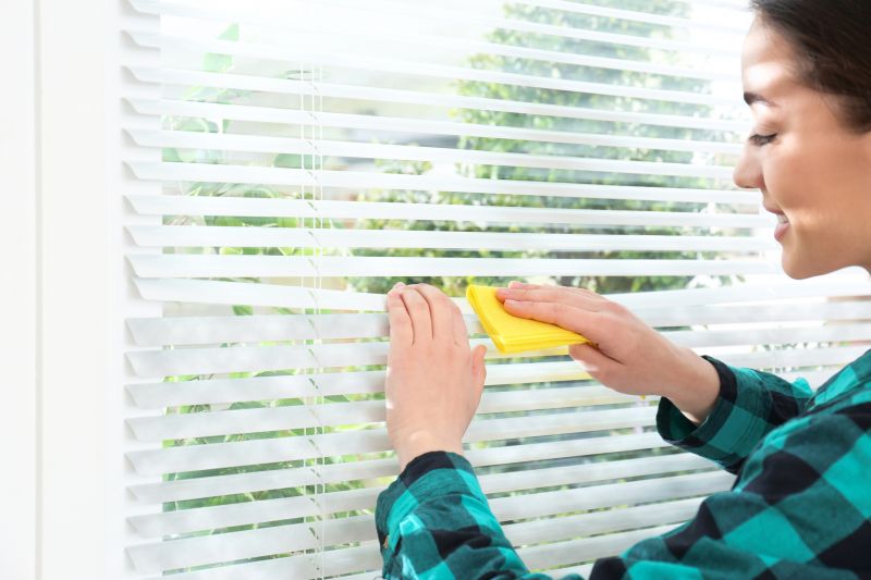 Cellular Shades Cleaning in Billings, MT