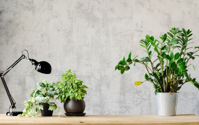 Kitchen Wallpaper Installation in Alpharetta, GA
