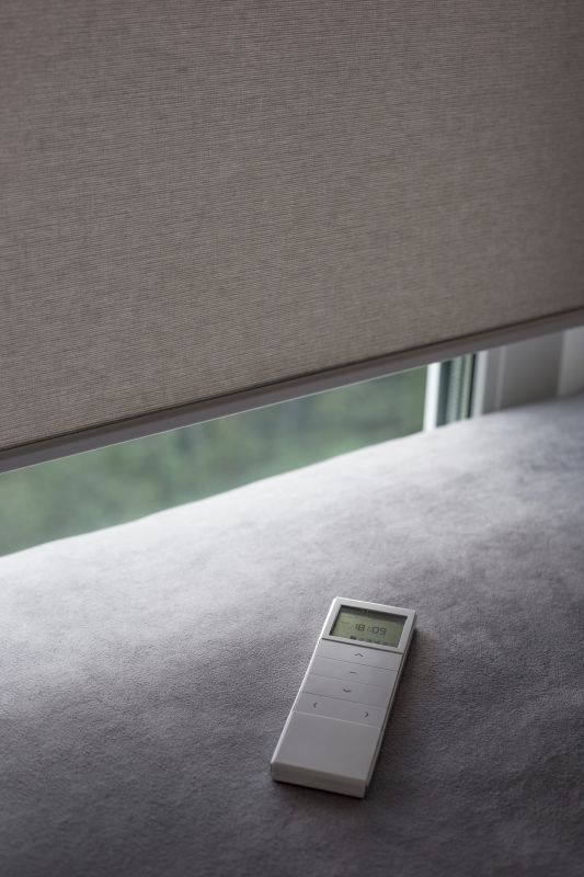 Motorized Track Blinds